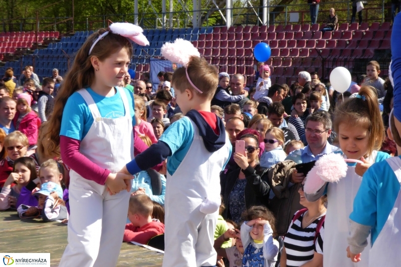 Nyuszifutás 2017 - fotó Szarka Lajos