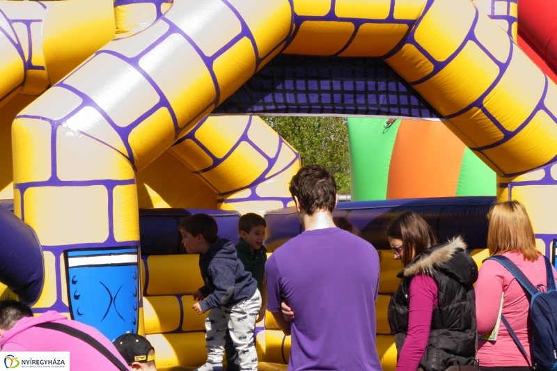 Nyuszifutás 2017 - fotó Szarka Lajos