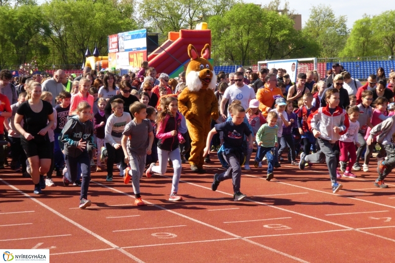 Nyuszifutás 2017 - fotó Szarka Lajos