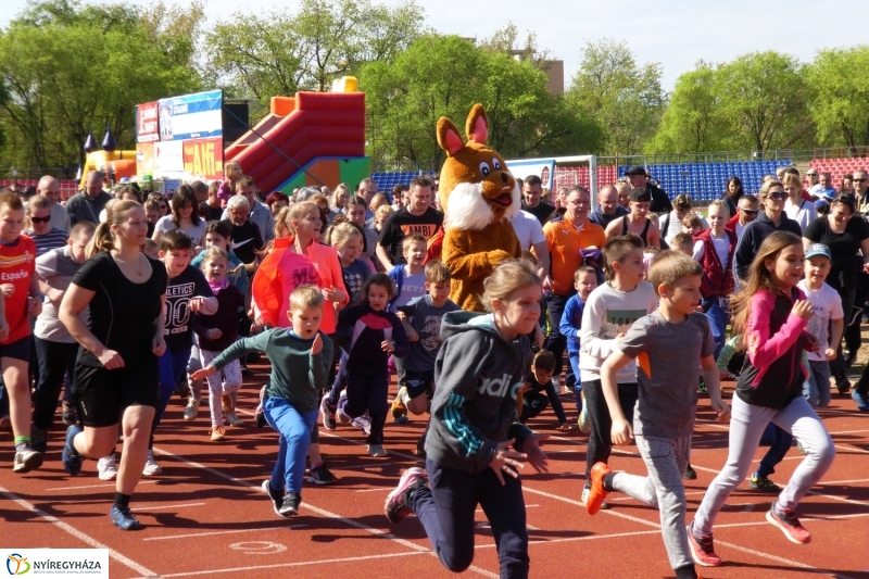 Nyuszifutás 2017 - fotó Szarka Lajos