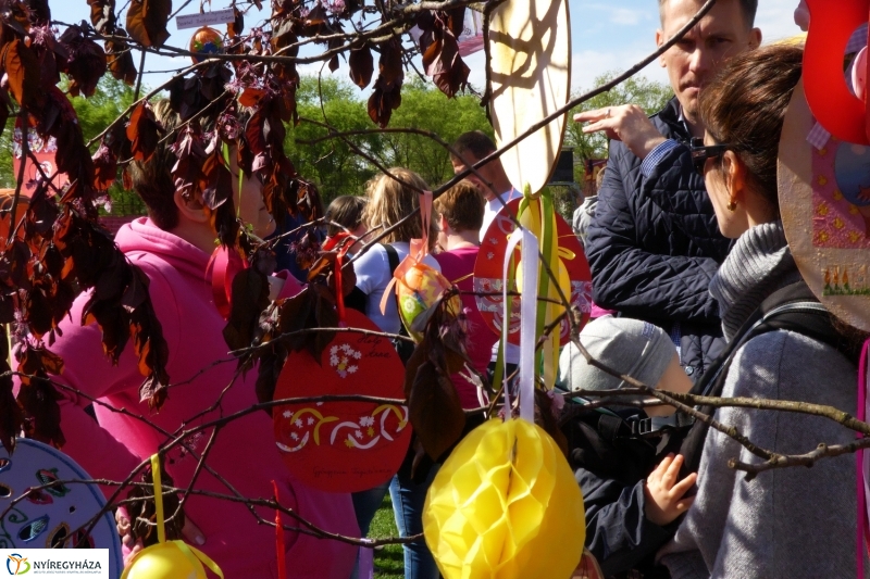 Nyuszifutás 2017 - fotó Szarka Lajos