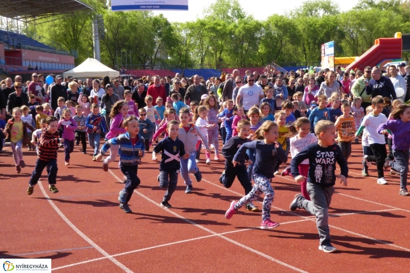 Nyuszifutás 2017 - fotó Szarka Lajos