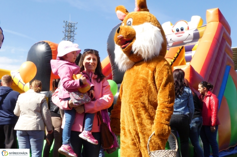 Nyuszifutás 2017 - fotó Szarka Lajos