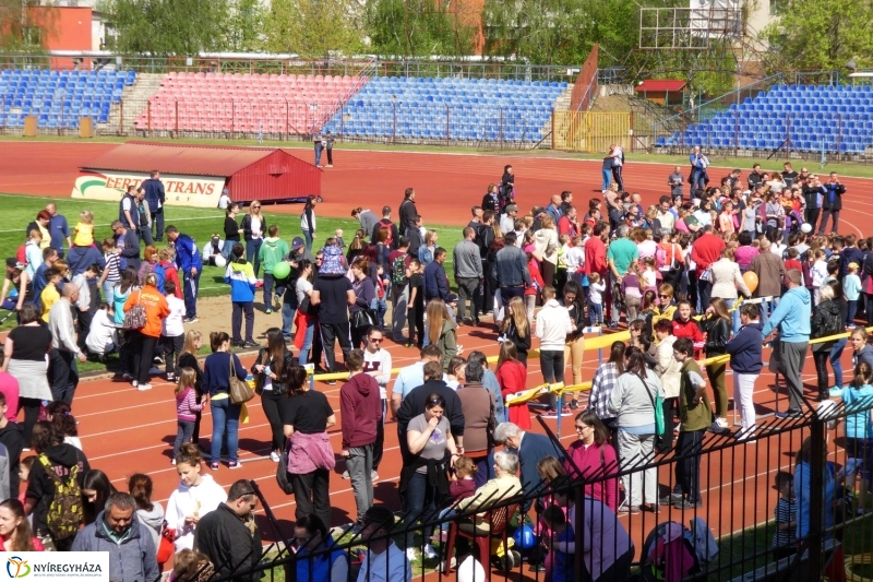 Nyuszifutás 2017 - fotó Szarka Lajos
