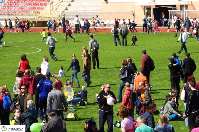 Nyuszifutás 2017 - fotó Szarka Lajos