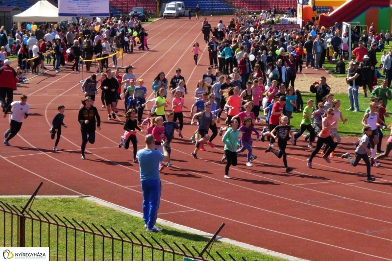 Nyuszifutás 2017 - fotó Szarka Lajos