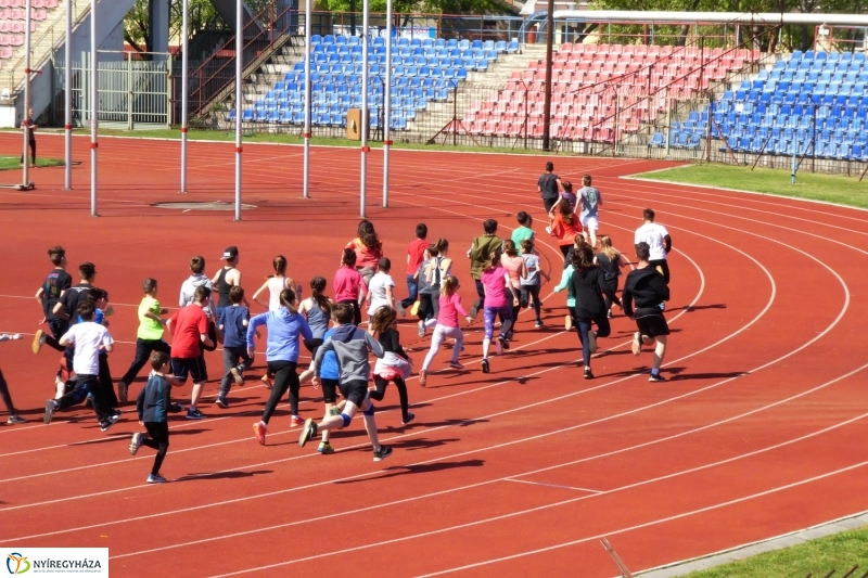 Nyuszifutás 2017 - fotó Szarka Lajos