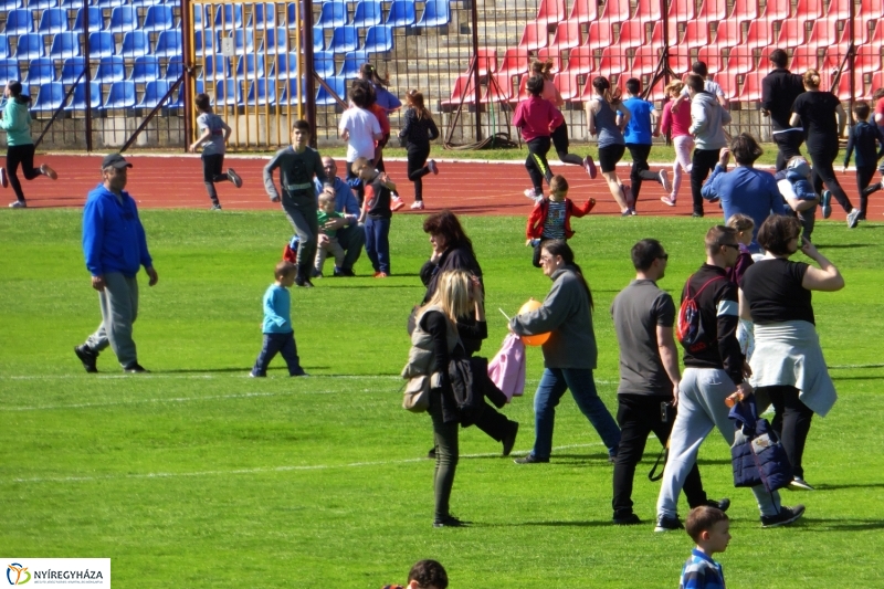 Nyuszifutás 2017 - fotó Szarka Lajos