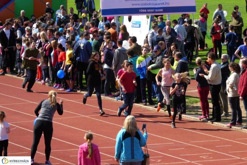 Nyuszifutás 2017 - fotó Szarka Lajos