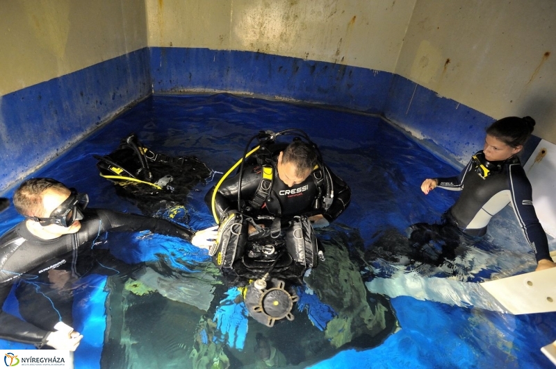 Állatparki kulisszák - fotó Szarka Lajos