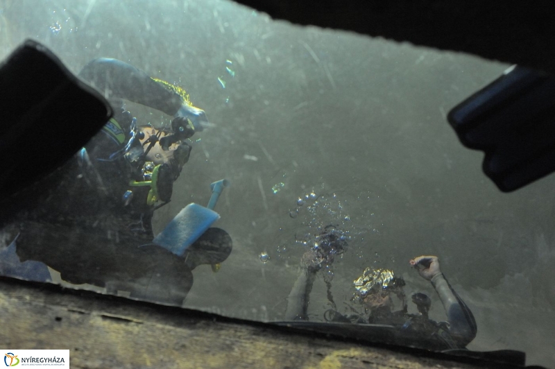 Állatparki kulisszák - fotó Szarka Lajos