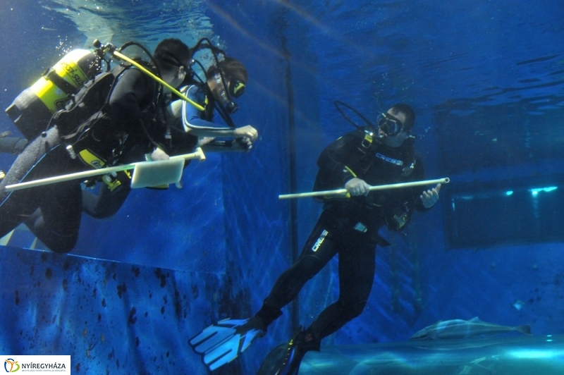 Állatparki kulisszák - fotó Szarka Lajos