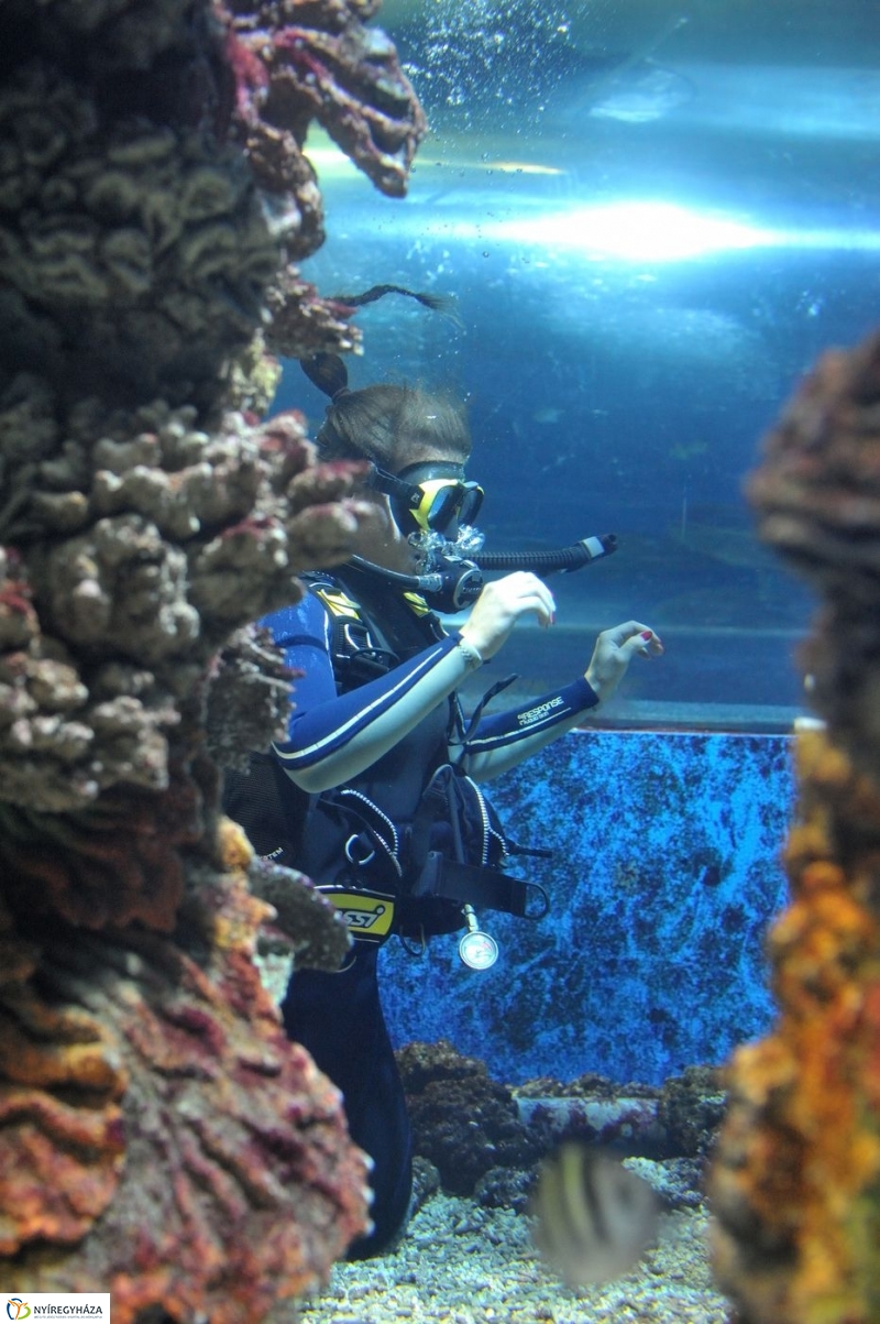 Állatparki kulisszák - fotó Szarka Lajos