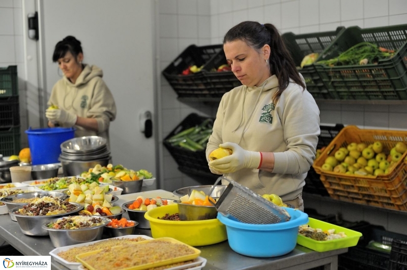 Állatparki kulisszák - fotó Szarka Lajos