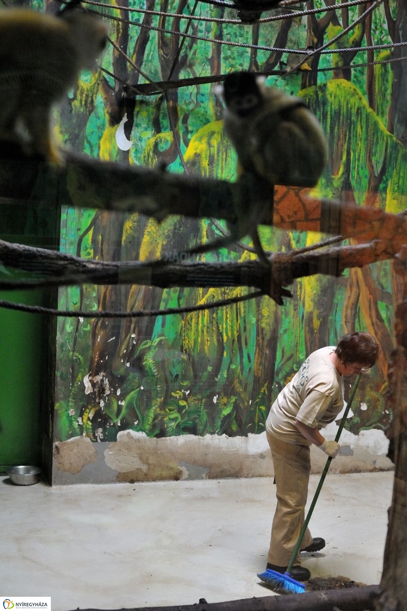 Állatparki kulisszák - fotó Szarka Lajos