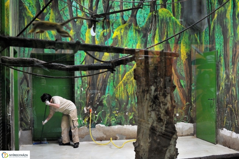 Állatparki kulisszák - fotó Szarka Lajos