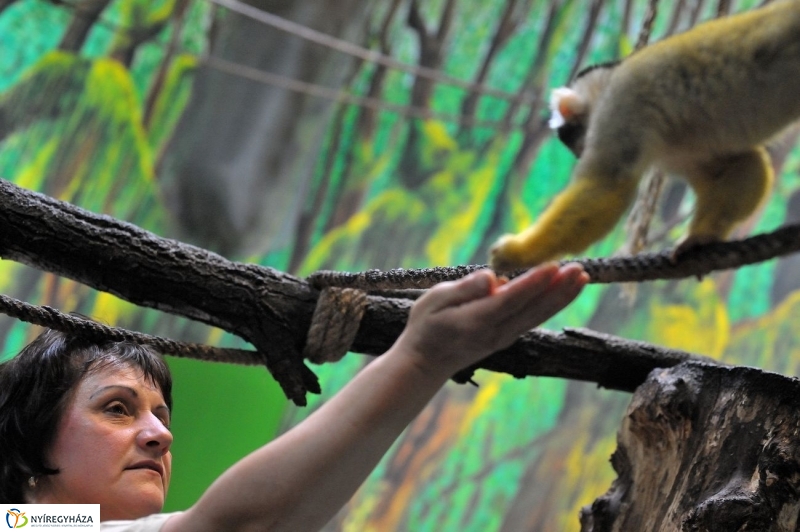 Állatparki kulisszák - fotó Szarka Lajos