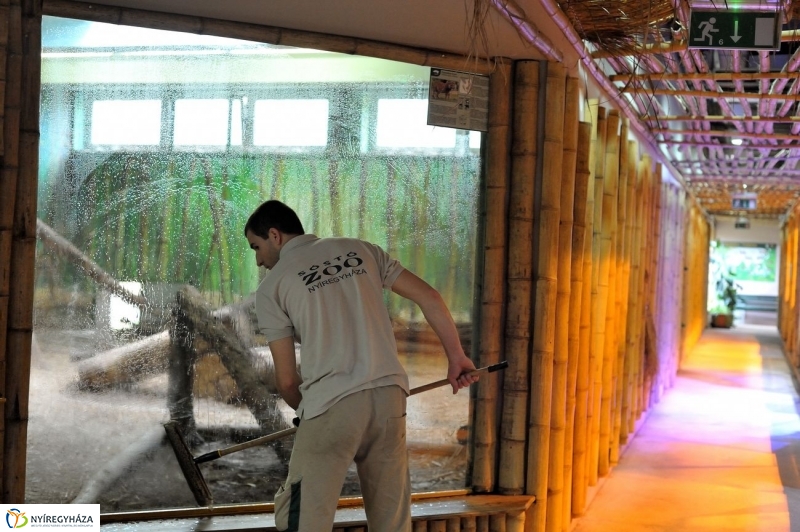 Állatparki kulisszák - fotó Szarka Lajos