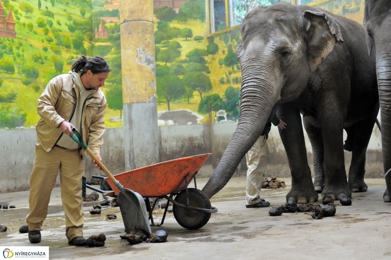 Állatparki kulisszák - fotó Szarka Lajos