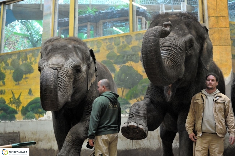 Állatparki kulisszák - fotó Szarka Lajos