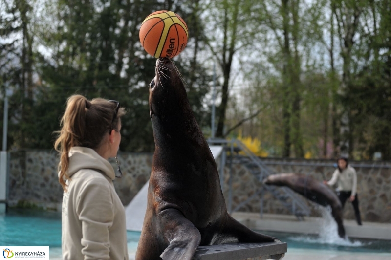 Állatparki kulisszák - fotó Szarka Lajos