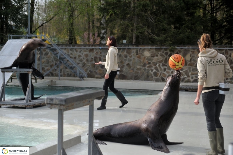 Állatparki kulisszák - fotó Szarka Lajos