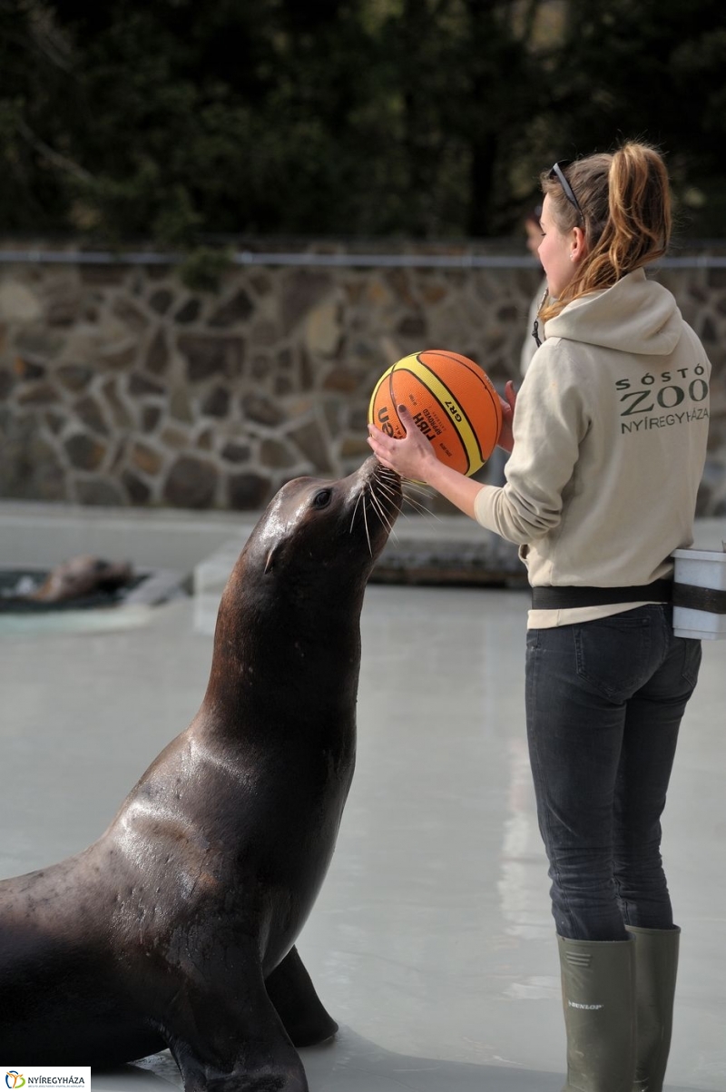 Állatparki kulisszák - fotó Szarka Lajos