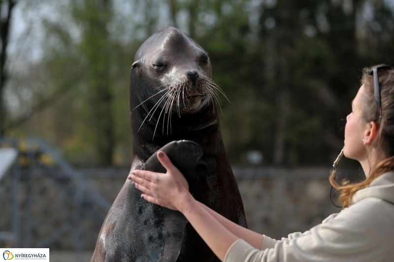 Állatparki kulisszák - fotó Szarka Lajos