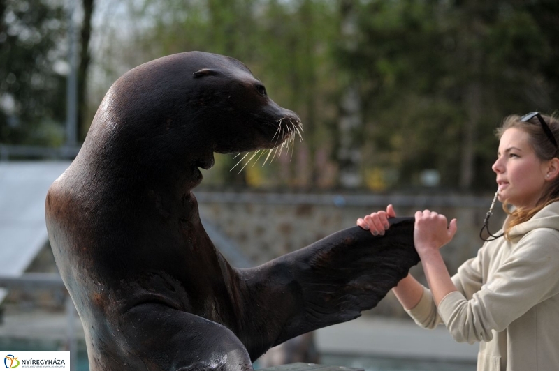 Állatparki kulisszák - fotó Szarka Lajos