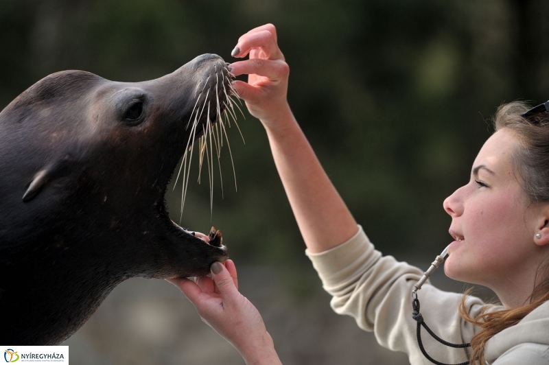 Állatparki kulisszák - fotó Szarka Lajos