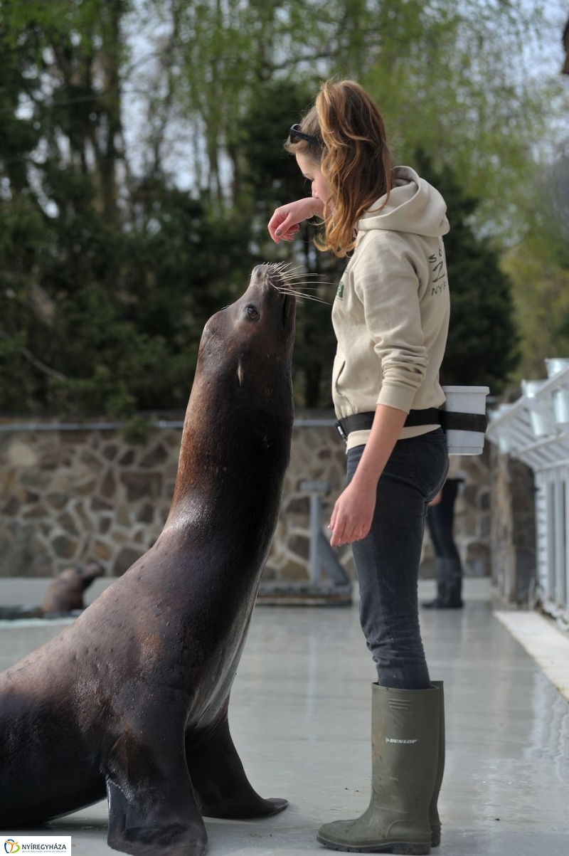 Állatparki kulisszák - fotó Szarka Lajos