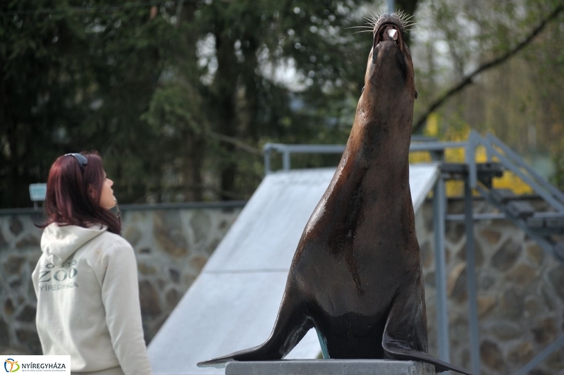 Állatparki kulisszák - fotó Szarka Lajos
