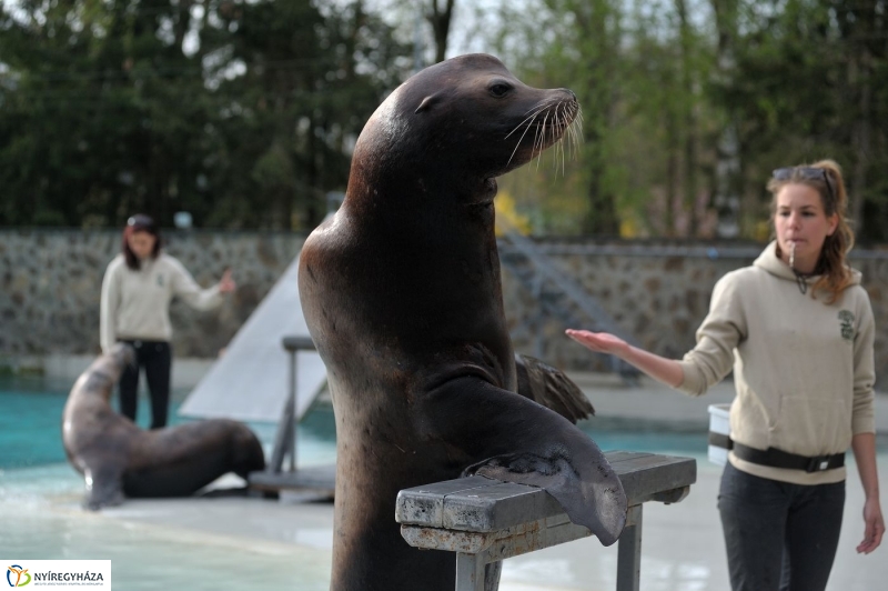Állatparki kulisszák - fotó Szarka Lajos