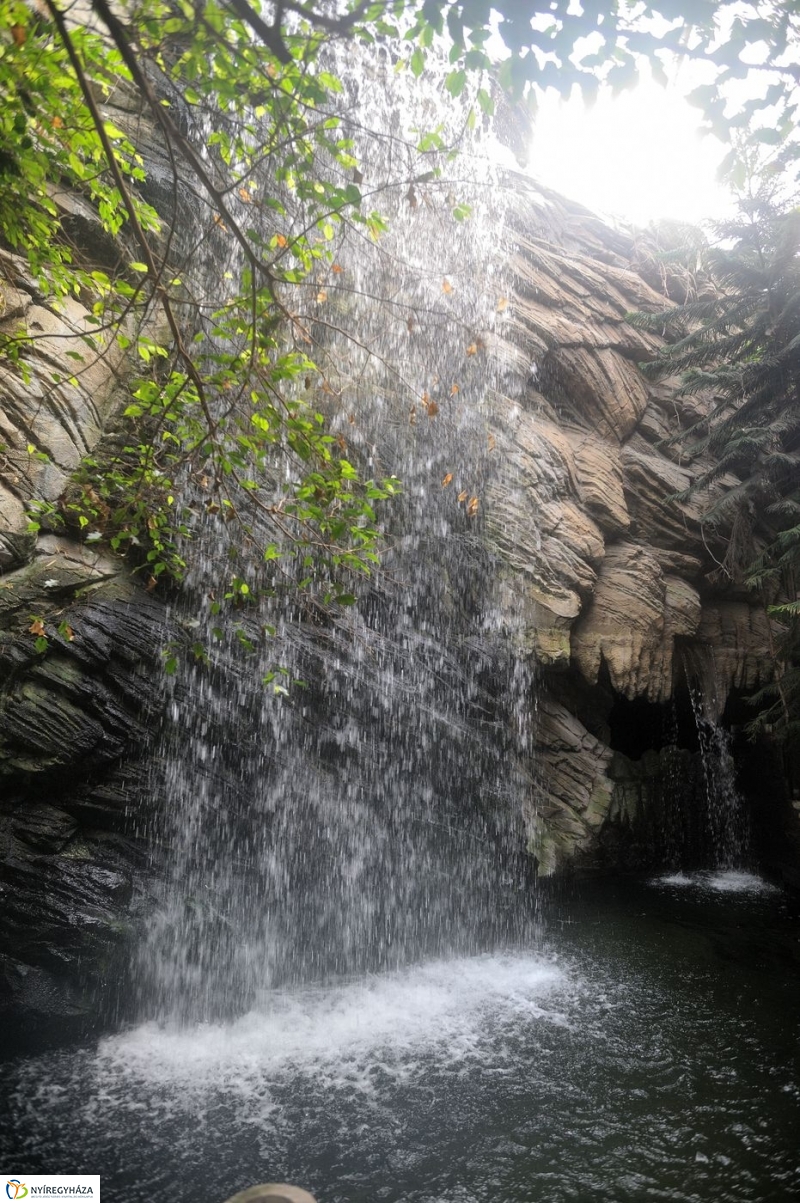 Állatparki kulisszák - fotó Szarka Lajos