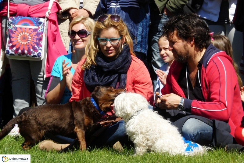 Húsvét Sóstón, a múzeumfaluban - fotó Szarka Lajos