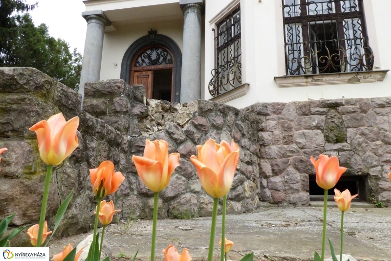 Helyszíni bejárás a Bencs Villánál - fotó Szarka Lajos