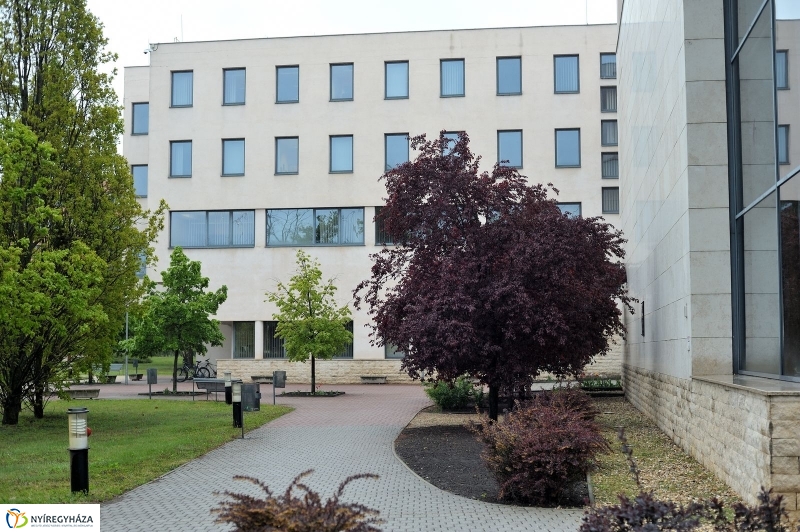 Karriernap sajtótájékoztató az egyetemen - fotó Szarka Lajos