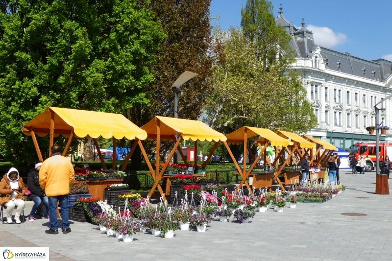 Helló Nyíregyháza! 2017  megnyitó - fotó Szarka Lajos
