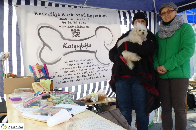 Helló Nyíregyháza! 2017  megnyitó - fotó Szarka Lajos