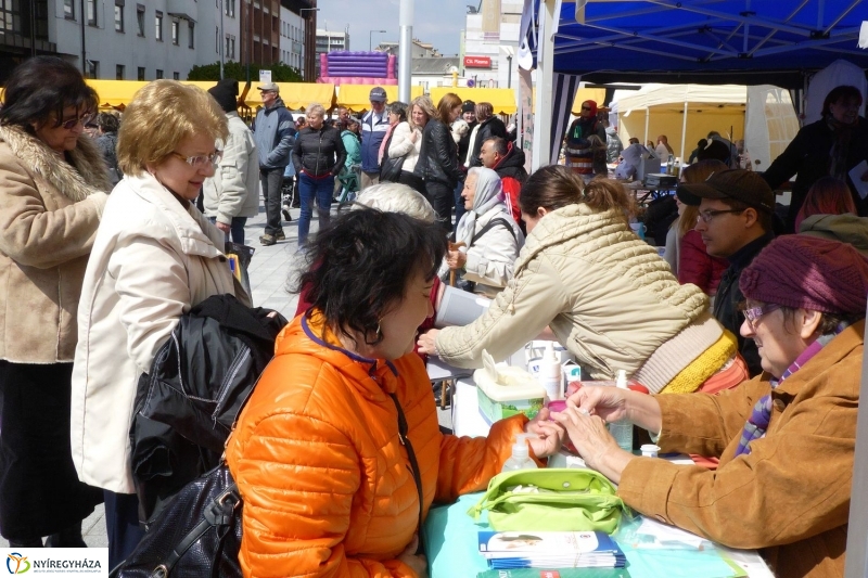 Helló Nyíregyháza! 2017  megnyitó - fotó Szarka Lajos