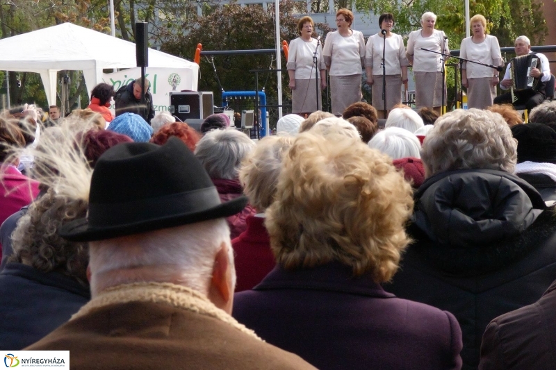 Helló Nyíregyháza! 2017  megnyitó - fotó Szarka Lajos