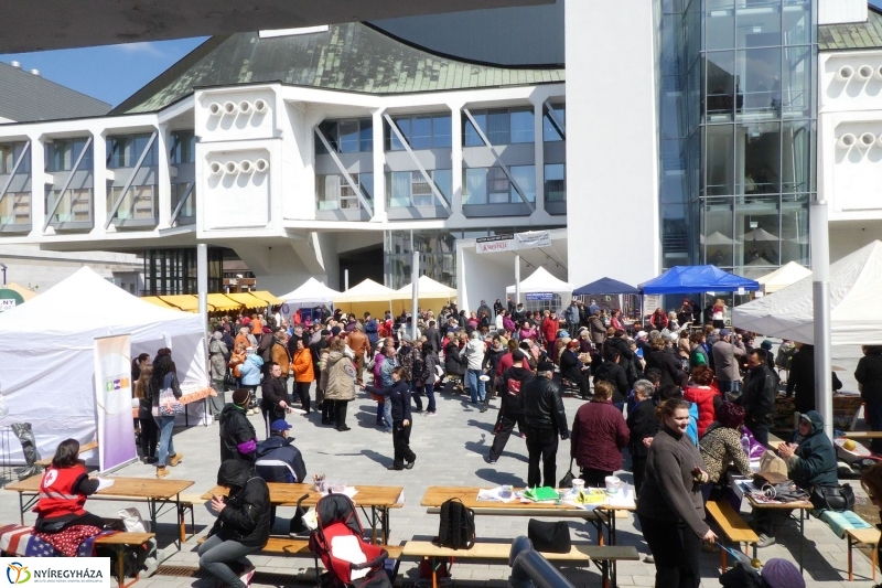 Helló Nyíregyháza! 2017  megnyitó - fotó Szarka Lajos