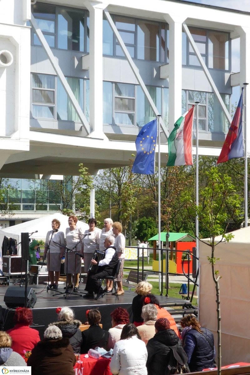 Helló Nyíregyháza! 2017  megnyitó - fotó Szarka Lajos