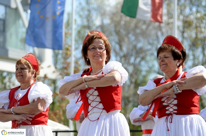 Helló Nyíregyháza! 2017 Civil sziget - fotó Trifonov Éva