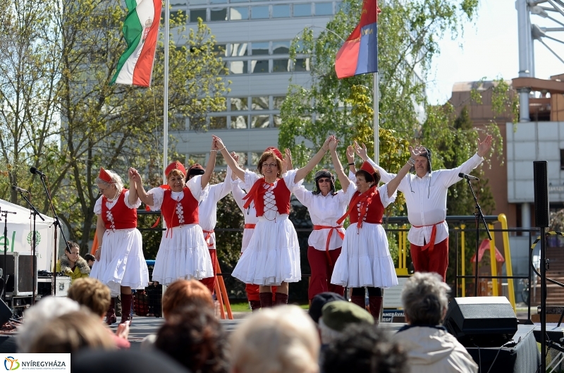 Helló Nyíregyháza! 2017 Civil sziget - fotó Trifonov Éva