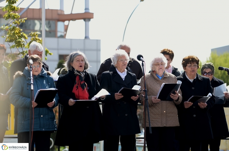 Helló Nyíregyháza! 2017 Civil sziget - fotó Trifonov Éva