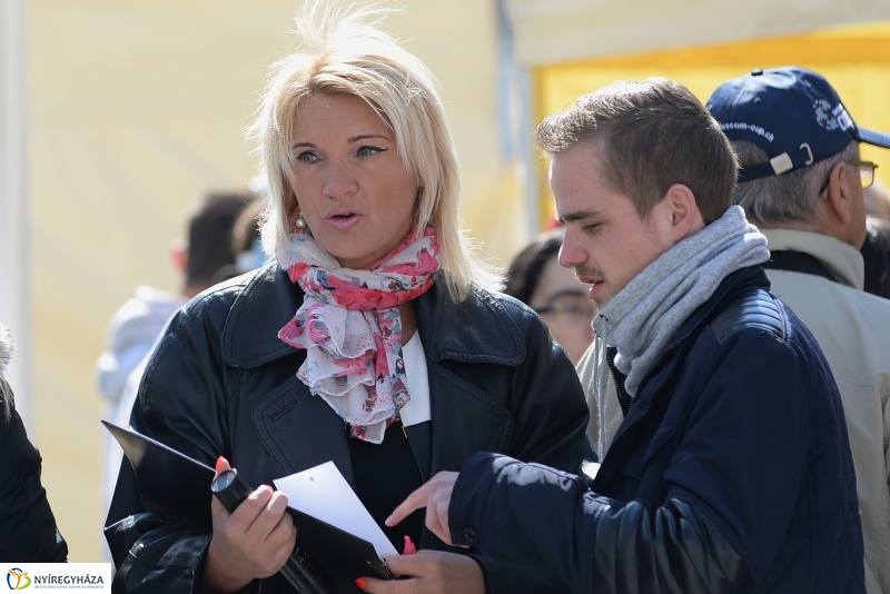 Helló Nyíregyháza! 2017 Civil sziget - fotó Trifonov Éva