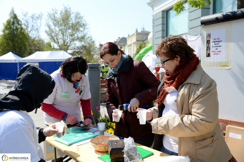 Helló Nyíregyháza! 2017 Civil sziget - fotó Trifonov Éva