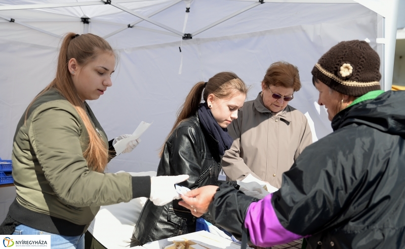 Helló Nyíregyháza! 2017 Civil sziget - fotó Trifonov Éva