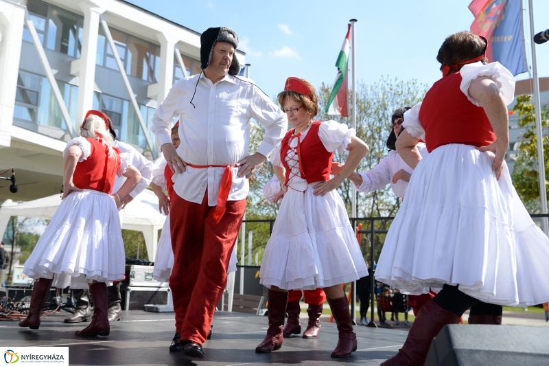 Helló Nyíregyháza! 2017 Civil sziget - fotó Trifonov Éva